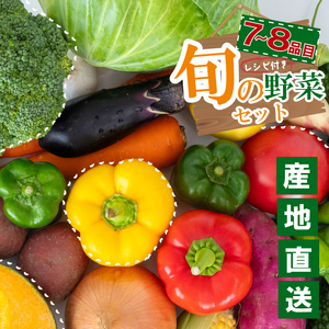 季節の野菜セット 産地直送 朝採れ ( 7品 〜 8品 野菜 セット 詰め合わせ 特産 季節 旬 新鮮 彩 ベジタブル 高知県 須崎市 ) 詰合せ 詰め合わせ 詰合せ 旬の 詰め合せ 詰合わせ 詰め合せ 詰合わせ 