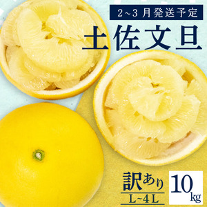 [2月上旬から発送] 訳あり 文旦 高知 10kg L 〜 4L サイズ 混合 浦ノ内特産 早期予約 予約受付中 期間限定 季節限定 限定 旬 みかん ミカン ぶんたん 高知県 土佐文旦 柑橘 家庭用 KN003-xx