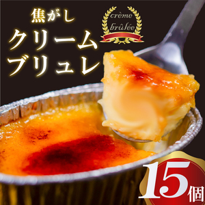 焦がしクリームブリュレ15個アイス冷凍アイスアイスアイスアイスアイスアイスアイスアイスアイスアイス