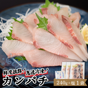 須崎カンパチ 3パックセット塩付き 急速冷凍 勘八 勘八 カンパチ カンパチ カンパチ カンパチ
