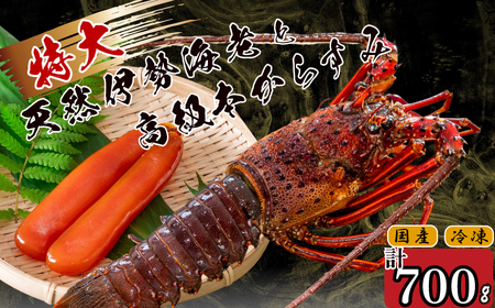 特大伊勢海老 1匹 高級 本からすみ 100g ( 特大サイズ 急速冷凍 えび エビ からすみ カラスミ 珍味 高級 鮮魚 海鮮 魚介 魚卵 刺身 焼き物 汁物 セット ギフト 贈答 贈り物 祝い 歳暮 中元 )