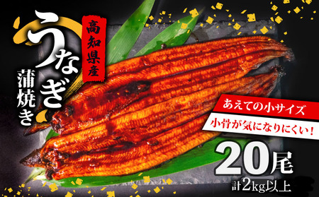 うなぎ 国産 高知県産 鰻 蒲焼き 100g〜120g×20尾 セット 蒲焼きのタレ 付き 冷凍 高知県 須崎市 (うなぎ 蒲焼き 冷凍 スタミナ 土用の丑の日 タレ 小分け タレ付 鰻 ウナギ)