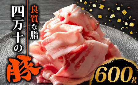 四万十ポークスライス600g | 300g × 2パック セット 豚肉 豚バラ肉 小分け 小間切れ スライス 切り落とし 冷凍 真空パック 簡単調理 細切れ 大容量 肉 高知県 須崎市