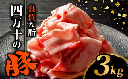豚肉 切り落とし 3kg | 豚肉 豚肉 豚肉 豚肉 豚肉豚肉豚肉