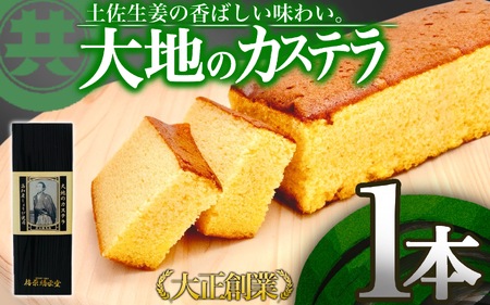 大地のカステラ 国産 スイーツ デザート 焼き菓子 ケーキ 高知県 須崎市