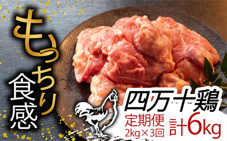 [定期便3回]四万十鶏 もも肉 計6kg(2kg×3ヶ月連続お届け) もも肉定期便もも肉定期便もも肉定期便