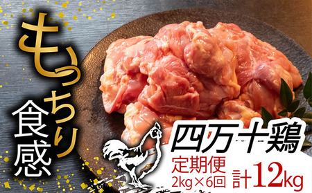 [定期便6回] 四万十鶏 もも肉 計12kg(2kg×6ヶ月連続お届け) 2kg定期便2kg定期便2kg定期便2kg定期便