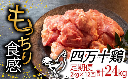 [定期便12回]四万十鶏 もも肉 計24kg(2kg×12ヶ月連続お届け) 鶏肉定期便鶏肉定期便鶏肉定期便