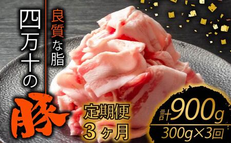 [全3回]高知県産 ブランドポーク 豚肉定期便 切り落とし 計900g(300g×3ヶ月) 豚肉 豚肉 豚肉 豚肉 豚肉[TM24000]