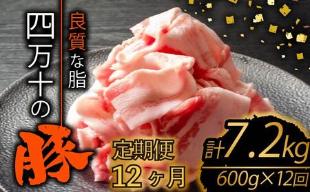 [定期便12回]高知県産 ブランドポーク 豚肉 切り落とし 計7.2kg(600g×12ヶ月連続お届け) 2Aコース 