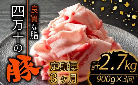 [定期便3回]高知県産 ブランドポーク 豚肉 切り落とし 計2.7kg(900g×3ヶ月連続お届け) 2Bコース 