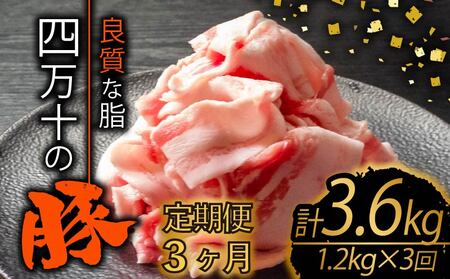 [全3回]豚肉定期便 切り落とし 計3.6kg(1.2kg×3ヶ月) 3ヶ月定期便3ヶ月定期便3ヶ月定期便