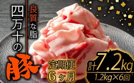 [定期便6回]高知県産 ブランドポーク 豚肉 切り落とし 計7.2kg(1.2kg×6ヶ月連続お届け) 2Fコース 