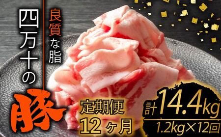 [定期便12回]高知県産 ブランドポーク 豚肉 切り落とし 計14.4kg(1.2kg×12ヶ月連続お届け) 2Gコース 