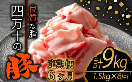 yS6zؓ ؂藎Ƃ v9kgi1.5kg×6) 666