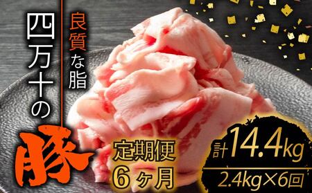 [定期便6回]高知県産 ブランドポーク 豚肉 切り落とし 計14.4kg(2.4kg×6ヶ月連続定期便) 2Lコース 