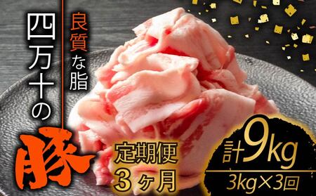 [定期便3回]高知県産 ブランドポーク 豚肉 切り落とし 計9kg(3kg×3ヶ月定期便) 2Nコース 