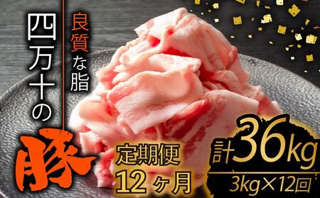 yS12zؓ ؂藎Ƃ v36kgi3kg×12) 121212