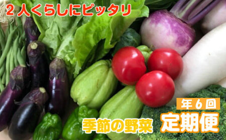 定期便 6回 9〜10品 2人暮らし ぴったり 南国土佐 食べきり サイズ セット 数量限定 詰め合わせ 旬の野菜 季節 新鮮 野菜 産地直送 高知県 須崎市 ほうれん草 ブロッコリー 人参 じゃがいも 白菜 キャベツ 小松菜 ピーマン ししとう 玉ねぎ オクラ なす ネギ さつまいも 里芋 にんにく きゅうり 生姜 セット 定期便 詰め合わせ