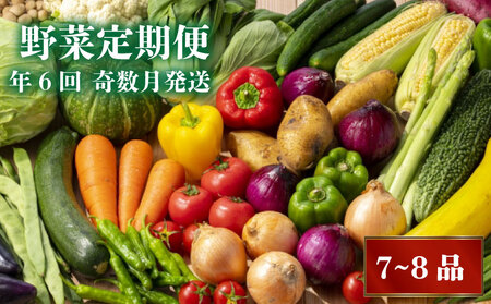 定期便 6回 奇数月発送 7～8品 野菜定期便 野菜定期便 野菜定期便 NK12000