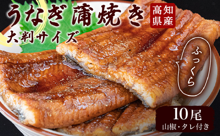 うなぎの蒲焼き 鰻 約200g ×10尾 セット うなぎうなぎうなぎうなぎうなぎうなぎ