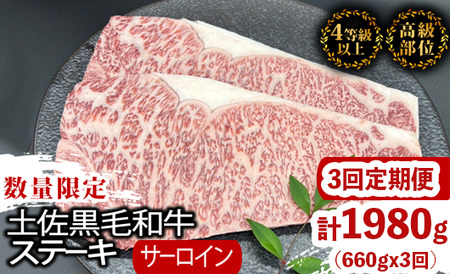 y T[CXe[L z T[CXe[Lјa3