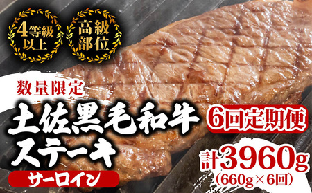 [定期便6回]土佐黒毛和牛サーロインステーキ 計3.96kg(660g×6ヶ月連続お届け) 2Wコース 