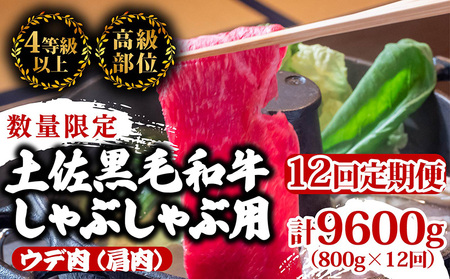 [定期便12回]土佐黒毛和牛ウデ肉しゃぶしゃぶ用 計9.6kg(800g×12ヶ月連続お届け) 3Bコース 