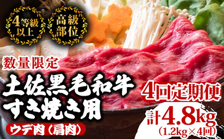 [定期便4回]土佐黒毛和牛ウデ肉しゃぶしゃぶ用 計4.8kg(1.2kg×4ヶ月連続お届け) 3Dコース 