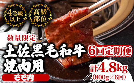 [定期便6回]土佐黒毛和牛モモ肉焼肉用 計4.8kg(800g×6ヶ月連続お届け) 3Qコース 