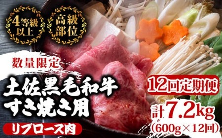 y12zy  a Ăp v7.2kgi600g×12A͂)4HR[X |  u[X ŏʓ A4 A5 ōN ґ ₫ XLLp  ēp  Ⓚ Y 