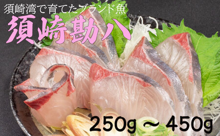 須崎勘八 250g〜450g | 勘八 須崎市産勘八 ブランド勘八 カンパチ ブランド 魚 鮮魚 海鮮 刺身 さしみ 焼き魚 料理 簡単調理 背 腹 下処理有 高知県 須崎市