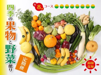 定期便 8回 野菜 おまかせ セット 10 〜 14種 旬 新玉ねぎ そら豆 スナップえんどう 春キャベツ フルーツトマト じゃが芋 みょうが ズッキーニ オクラ コリンキー かぼちゃ すじなし豆 トマト 花ニラ さつま芋 栗 秋豆 ぶしゅかん しょうが キク芋 赤大根 白大根 かぶ カリフラワー 芽キャベツ 白菜 ブロッコリー 葉ニンニク ゆず 須崎 高知 頒布会