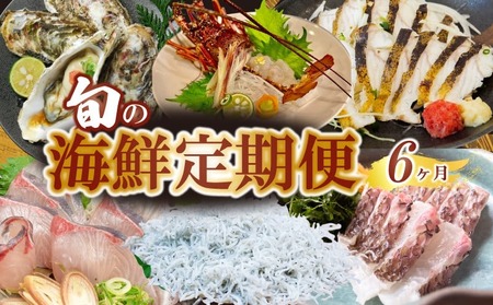 定期便 6回 お楽しみ 野島水産 | 魚貝定期便 海鮮定期便 6ヶ月定期便 魚介定期便