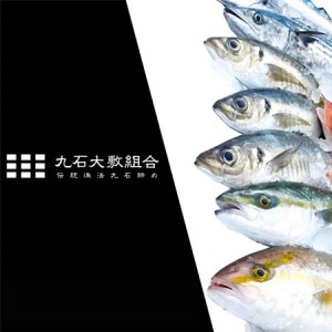 魚 鮮魚 ボックス 3-5kg ( 定期便 で人気の 神経締め の単体鮮魚ボックス ) リピーター様続出 高知県 須崎市