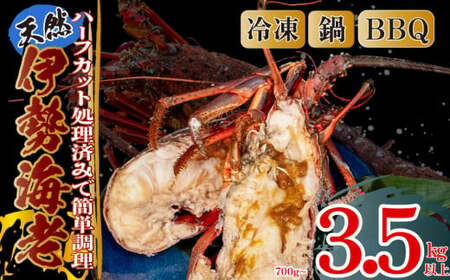ハーフカット伊勢海老 生食OK 容量 4〜6ピース 1.4kg 以上 冷凍 ( 特大サイズ 急速冷凍 えび エビ 高級 鮮魚 海鮮 魚介 刺身 生食OK 焼き物 汁物 ギフト 贈答 贈り物 祝い 歳暮 中元 年末 年始 早期 予約 )