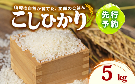 新米コシヒカリ5kg 産地直送 白米 精米 米米米