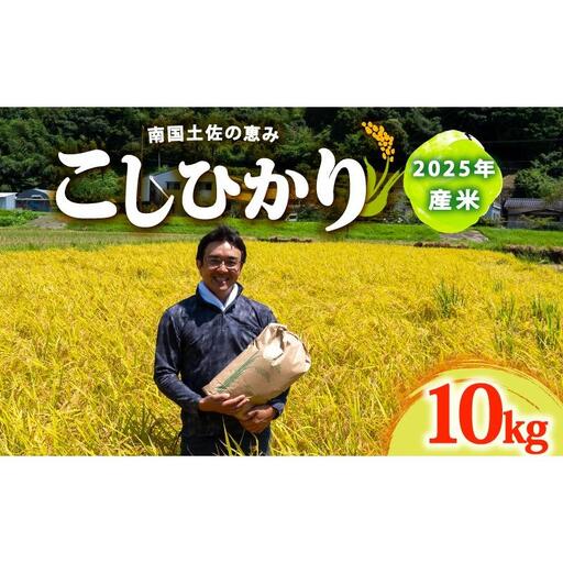 コシヒカリ10Kgコシヒカリコシヒカリコシヒカリ