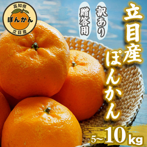 早期予約 立目産 訳あり ポンカン 5kg [ ぽんかん ]