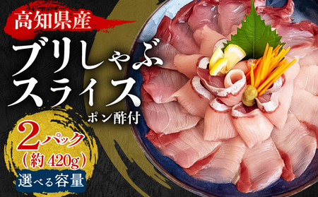 [ ブリ ] 鰤 山水