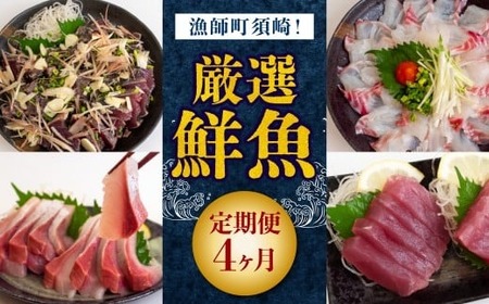 [ 刺身 ]4ヶ月定期便 山水
