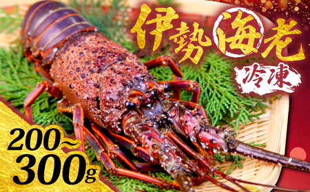 �y �C�Z�G�r �z �C�Z�G�r200�`300g