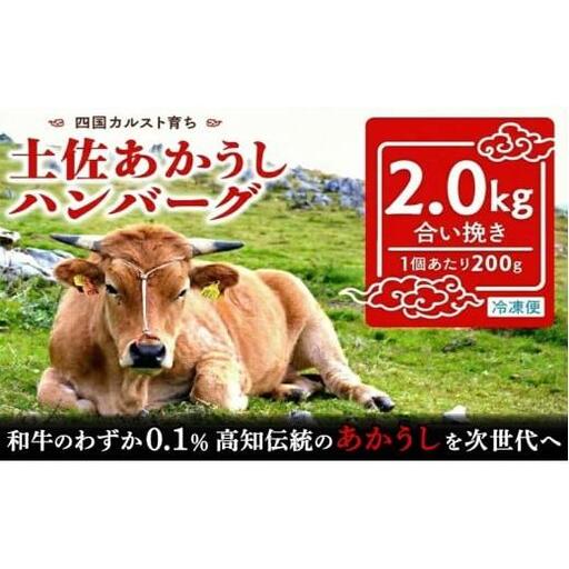 [ハンバーグ]土佐あかうしハンバーグ 2kg 200gx10個