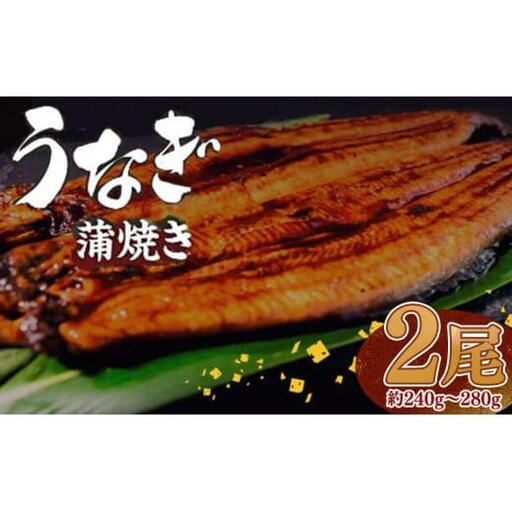 有頭 うなぎ 蒲焼 2尾 240g以上（ 120g～140g × 2尾 ） | 尾頭付き 土用の丑の日 蒲焼 鰻 ひつまぶし うな丼 うな重 お歳暮 ギフト 冷凍 養殖 ふるさと納税うなぎ 高知県 須崎市 秘伝タレ付き 真空パック 惣菜 人気 ランキング おすすめ 母の日 父の日 ME065_x