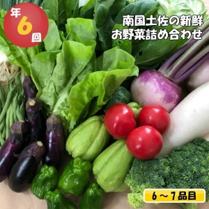 定期便 6回 旬 野菜 詰め合わせ セット 6 〜 7品 数量限定 限定80セット やさい 頒布会 ほうれん草 ブロッコリー ニンジン 人参 じゃがいも 白菜 キャベツ 小松菜 ピーマン ししとう タマネギ オクラ なす ネギ さつまいも 里芋 にんにく きゅうり しょうが 生姜