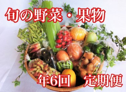 定期便 6回 野菜 果物 8〜12種類程度 旬の野菜と果物セット お得 パック 詰め合わせ 高知県 須崎市