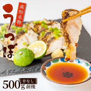 カツオに並ぶ土佐の名物! うつぼのタタキ 500g タレ付き 天然 コラーゲン 高知 名物 珍味 魚 刺身