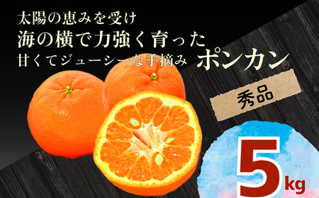 [早期予約] ポンカン 5kg 秀品 発送 2025年 1月 中旬 大人気 安和ポンカン 産地直送 柑橘 フルーツ みかん 高知県 須崎市 ( 柑橘 ぽんかん ぽんかん )