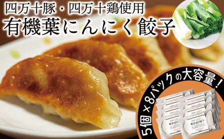 葉 ニンニク と 四万十 豚 で作った 餃子 （ 8パック 8人前 ） 餃子  餃子  餃子  餃子  餃子  餃子  餃子