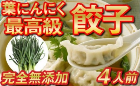 葉 ニンニク と 四万十 豚 で作った 餃子 ( 4パック 4人前 )餃子 餃子 餃子 餃子 餃子 餃子 餃子